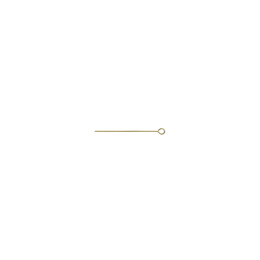 14K Eye Pin