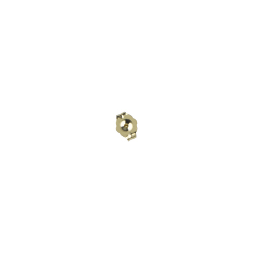 Earnuts - 6mm  - 14 Karat Gold