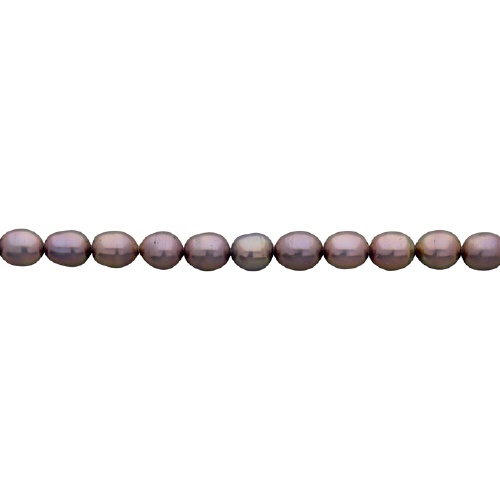Freshwater Pearls - Rice - 6.5mm-7mm - Champagne