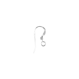 Silver Filled Earwires & Kidney Wires